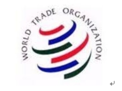 世界贸易组织110年「青年专业人士实习计画」